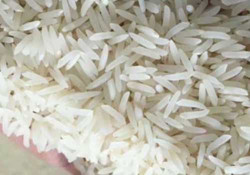 خرید برنج طارم کشت دوم + قیمت فروش استثنایی